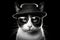 portrait of a black and white tuxedo cat, wearing a porkpie hat and sunglasses, mimicking the iconic look of Heisenberg. Cat as