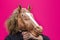 Portrait of blonde curly girl holding toy of horse`s head on bright pink background. Trend photo without face in minimal style