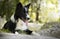 Portrait of a border collie puppy relaxing among rocks