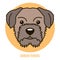 Portrait of Border Terrier. Vector illustration