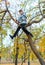 Portrait of a boy in an autumn park. The child climbed a tree and playing