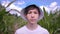 portrait of a boy on the background of a cornfield in summer looking at the camera, rack focus