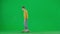 Portrait of boy on chroma key green screen. School boy kid in casual clothing riding skateboard from side to side of the