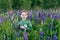 Portrait of a boy in a summer field of lupine