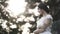 Portrait of a bride in a white wedding dress on a background of blurred green bushes and trees. Action. Sensual brown