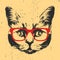 Portrait of British Shorthair Cat with glasses.