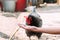 Portrait of brown domestic hen with red crest on head.Chicken poultry producing natural meat eggs. chick growing in incubator farm