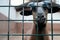 Portrait of brown goat with horns looking out from a cage. Domestic animal in captivity. Unhappy hungry prisoner in a zoo asking