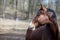 Portrait of a brown Mustang horse looking to the side under the sunlight