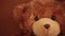 Portrait brown teddy bear rack focus