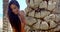 Portrait of Brunette Woman by Palm Tree at Beach