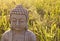 Portrait of Buddha on sunny meadow and ray.