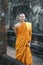 Portrait of buddhist monk