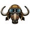 Portrait of buffalo, bison, bull, cow. Face of animal. Vintage aviator helmet with googles.