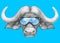 Portrait of Buffalo with ski goggles.