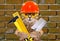 Portrait of a builder cat with tools in paws
