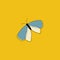 Portrait of a butterfly over yellow background vector or color illustration