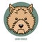 Portrait of Cairn Terrier. Vector illustration