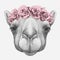 Portrait of Camel with floral head wreath.