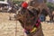 Portrait of Camel head in Pushkar