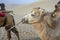 Portrait of camel at Singing Sand Mountain, Taklamakan Desert,