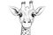 Portrait of a cartoon giraffe on a white background for coloring. Generative ai