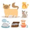 Portrait cat animal pet cute kitten purebred feline kitty domestic fur adorable mammal character vector illustration.