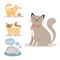 Portrait cat animal sleep pet cute kitten purebred feline kitty domestic fur adorable mammal character vector