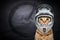 Portrait of a cat in cycling helmet