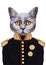 Portrait of Cat in military uniform.