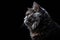 Portrait Of Cat Selkirk Rex In Profile On Black Matte Background. Empty Space. Generative AI