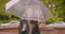 Portrait of caucasian brunette female rocker opens umbrella predicting the rain in the green rainy park.