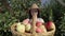 Portrait of a Caucasian female gardener holding a basket with harvest of apples