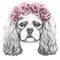 Portrait of Cavalier King Charles Spaniel with floral head wreath.
