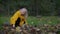 Portrait of a charming little girl playing with beautiful leaves scattered in clearing in autumn park