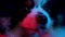 Portrait of a charming spitz on a black background in red neon light. Extremely close up of a dog's muzzle with