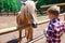 Portrait of the charming teenager feeds ginger horse with white