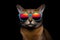 Portrait Chausie Cat With Sunglasses Black Background