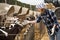 Portrait of Cheerful cowgirl with dairy cattle in farm