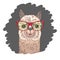 Portrait of a cheerful llama in red glasses