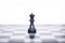 Portrait of chess pawn on the chessboard