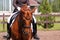 Portrait of chestnut dressage horse during show