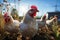 Portrait of chickens on a green grass meadow, bright sunny day, on a ranch in the village, rural surroundings on the