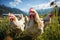 Portrait of chickens on a green grass meadow in mountains, bright sunny day, on a ranch in the village, rural surroundings