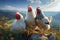 Portrait of chickens on a green grass meadow in mountains, bright sunny day, on a ranch in the village, rural surroundings