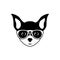 Portrait of chihuahua dog with glasses, black and white flat style.