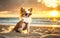 portrait of chihuahua dog with sunglasses, on a beach, ia