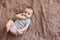 Portrait of a child 4 months old lying on the bed and looking. Charming child with dark eyes lying on back, portrait of baby boy