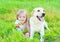 Portrait child and labrador retriever dog lying on grass