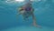 Portrait of a child underwater in a swimming pool. A girl swims in the pool